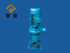 直立式无堵塞排污泵