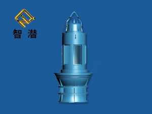 潜水轴流泵、混流泵